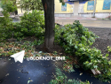 В Донецке прошел ураган: кадры последствий