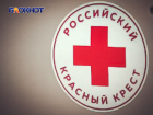 Семьи с детьми-инвалидами из ДНР, проживающие в Курской области, могут получить выплату от Красного Креста