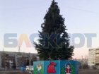 В Зугрэсе до сих пор не убрали новогоднюю елку с площади