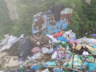 Решение проблемы или манипуляция: Глава ДНР поручил наказать компании по вывозу мусора