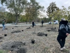 В честь Дня Воссоединения Донбасса молодежь высадила 50 дубов