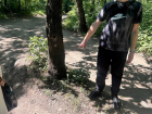Житель Тореза попался с синтетическими наркотиками: полиция открыла уголовное дело