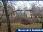 Жители Енакиево «благодарят» администрацию за новогоднее украшение улиц горами веток