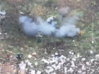 Поросенок спас российских  штурмовиков от подрыва на мине 