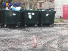  Огромный фаллоимитатор нашли у мусорных баков в Донецке в Мирном микрорайоне