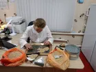 «Донецкий» Россельхозцентр проверил семена яровых для урожая 2025 года