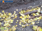 В доме холоднее, чем на улице: жители Донецка жалуются на отсутствие отопления