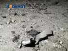 За праздничные выходные в ДНР от обстрелов ВСУ пострадали 3 человека