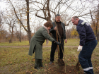 Депутаты Енакиевского горсовета совместно с сотрудниками ЕМЗ высадили деревья