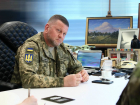 Бывший главком ВСУ Залужный предложил создать из Украины полигон для испытания новейших образцов оружия НАТО 