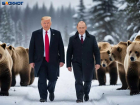 Мир на двоих: при встрече на Аляске Путин и Трамп могут разделить сферы влияния