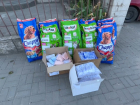 Активисты «Молодой Гвардии Единой России» передали ветеринарной клинике Мариуполя самое необходимое для содержания и лечения животных