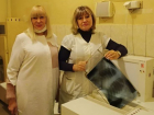 В Енакиево доставили новый аппарат для проявки рентгеновских снимков
