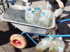 Жителям ДНР рассказали, где всегда можно набрать техническую воду