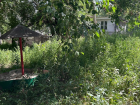 Детей в траве не видно детская площадка утопает в некошеных сорняках в центре Донецка
