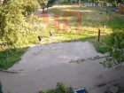 От этого видео с детьми из Петровского района Донецка дрожь по коже 