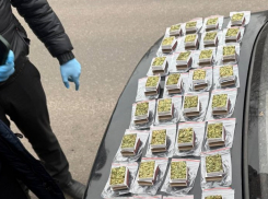 Житель ДНР попался с партией наркотиков на продажу во время осмотра автомобиля