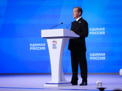 При поддержке «Единой России» были приняты важные законы в сфере образования