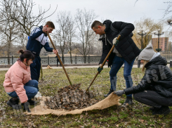 В Донецке дан старт субботникам
