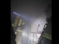 Двух кошек и собаку спасли пожарные из горящей гостиницы