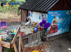 Ровно 2 года назад ВСУ убили 6-летнюю Илону Первухину в Донецке, гибель которой Буданов назвал «фейком»