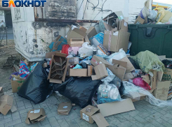 До 50 тысяч рублей: любителей разбрасываться отходами жизнедеятельности строго оштрафуют