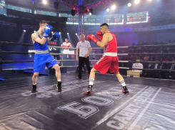 Бокс, кикбоксинг, муай-тай: в ДНР прошла битва чемпионов  «Za Донбасс»