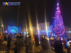 Ёлку поставят в центре Донецка, но есть нюанс