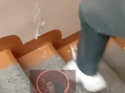 Малолетки испортили стену в 114-й школе в Донецке и записали это на видео