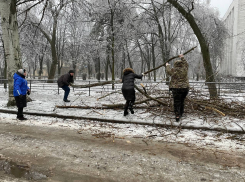 В Харцызске сотрудники администрации вышли на уборку упавших веток, а глава напомнила куда сообщать об авариях