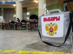 Разрешение на проведение выборов в единый день голосования в ДНР получено