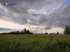 Правительство РФ утвердило: в ДНР создадут заповедник «Степь Донецкая»
