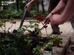 Донецку возвращают статус «города миллиона роз»