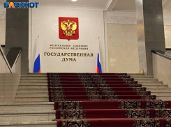 Госдума освободила от призыва добровольцев, служивших в войсках ДНР 