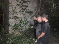 Ранее судимый житель ДНР попался полицейским с наркотиками