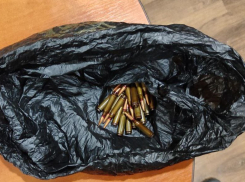 Патроны и обрез прятали у себя двое дончан