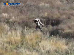 Командир более двух километров пронес на спине раненого бойца под обстрелами ВСУ