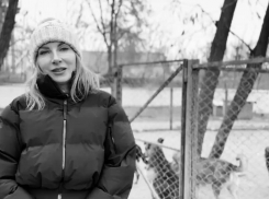 В Донецке убита гендиректор приюта для животных «ПиФ» Виктория Васильева