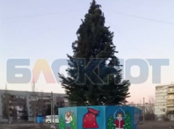 В Зугрэсе до сих пор не убрали новогоднюю елку с площади