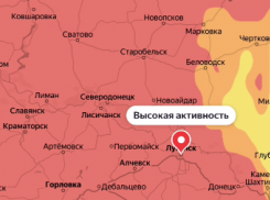 ДНР накрывает волна агрессивной пыльцы – аллергики в ужасе