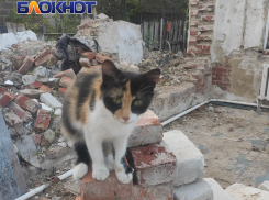 После дождичка в четверг: владельцы двадцати двух  домов  в Мариуполе написали коллективное письмо Солнцеву и ждут ответ с марта 2024 года