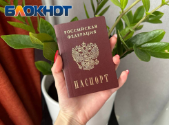Получить паспорт и поставить штамп о прописке в Новогодние праздники смогут жители ДНР