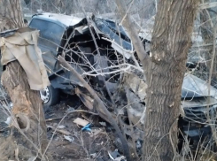 В Мариуполе в произошло смертельное ДТП: водитель УАЗ врезался в дерево