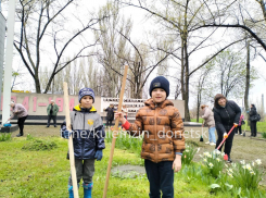 Более 7 тысяч жителей Донецка приняли участие во Всероссийском субботнике