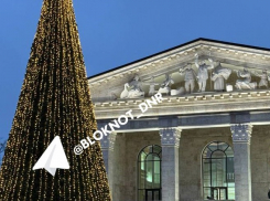 Специалисты из Санкт-Петербурга установили 14-метровую елку в Мариуполе