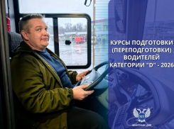 Где и как в ДНР бесплатно получить права для вождения автобуса