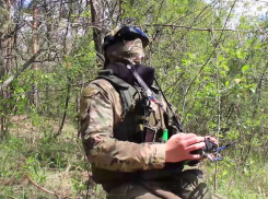 Нацисты бегут: Харьковскую фортификацию разворовали