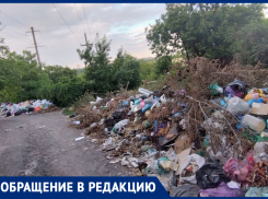 Более трех месяцев растет свалка бытового мусора на улице Буденного в Донецке
