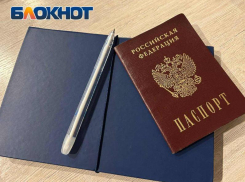 Страхователи из ДНР должны подтвердить основной вид своей экономической деятельности за 2023 год 