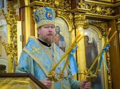 Новый владыка: Донецкую епархию возглавил митрополит Владимир, ранее служивший в Приамурье